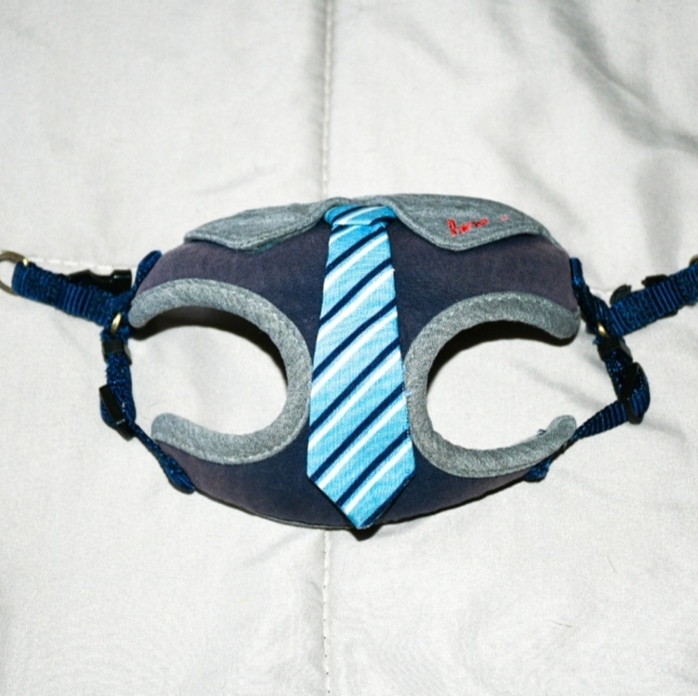 Harness,Collar Bundle